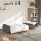 vidaXL Divano Letto a 2 Posti Grigio Scuro in Velluto vidaXL Divano Letto a 2 Posti Grigio Scuro in Velluto