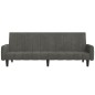 vidaXL Divano Letto a 2 Posti Grigio Scuro in Velluto vidaXL Divano Letto a 2 Posti Grigio Scuro in Velluto