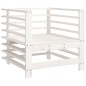 vidaXL Sedie da Giardino con Cuscini 2pz Legno Massello di Pino Bianco vidaXL Sedie da Giardino con Cuscini 2pz Legno Massello di Pino Bianco