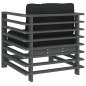 vidaXL Sedie da Giardino con Cuscini 2pz Legno Massello di Pino Grigio vidaXL Sedie da Giardino con Cuscini 2pz Legno Massello di Pino Grigio