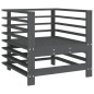 vidaXL Sedie da Giardino con Cuscini 2pz Legno Massello di Pino Grigio vidaXL Sedie da Giardino con Cuscini 2pz Legno Massello di Pino Grigio