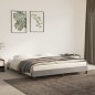 vidaXL Giroletto senza Materasso Grigio Chiaro 160x200 cm Velluto