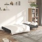 vidaXL Divano Letto a 2 Posti Grigio Scuro in Tessuto vidaXL Divano Letto a 2 Posti Grigio Scuro in Tessuto