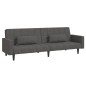 vidaXL Divano Letto a 2 Posti con 2 Cuscini Grigio Scuro in Tessuto vidaXL Divano Letto a 2 Posti con 2 Cuscini Grigio Scuro in Tessuto
