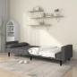 vidaXL Divano Letto a 2 Posti con 2 Cuscini Grigio Scuro in Tessuto vidaXL Divano Letto a 2 Posti con 2 Cuscini Grigio Scuro in Tessuto