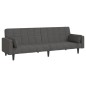 vidaXL Divano Letto a 2 Posti con 2 Cuscini Grigio Scuro in Tessuto vidaXL Divano Letto a 2 Posti con 2 Cuscini Grigio Scuro in Tessuto