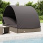 vidaXL Lettino Doppio Tetto Rotondo Grigio 211x112x140 cm Polyrattan vidaXL Lettino Doppio Tetto Rotondo Grigio 211x112x140 cm Polyrattan