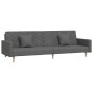 vidaXL Divano Letto a 2 Posti con 2 Cuscini Grigio Scuro in Tessuto vidaXL Divano Letto a 2 Posti con 2 Cuscini Grigio Scuro in Tessuto