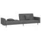 vidaXL Divano Letto a 2 Posti con 2 Cuscini Grigio Scuro in Tessuto vidaXL Divano Letto a 2 Posti con 2 Cuscini Grigio Scuro in Tessuto