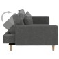 vidaXL Divano Letto a 2 Posti con 2 Cuscini Grigio Scuro in Tessuto vidaXL Divano Letto a 2 Posti con 2 Cuscini Grigio Scuro in Tessuto