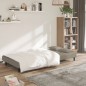 vidaXL Divano Letto a 2 Posti con 2 Cuscini Grigio Chiaro in Velluto vidaXL Divano Letto a 2 Posti con 2 Cuscini Grigio Chiaro in Velluto