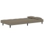 vidaXL Divano Letto a 2 Posti con 2 Cuscini Grigio Chiaro in Velluto vidaXL Divano Letto a 2 Posti con 2 Cuscini Grigio Chiaro in Velluto