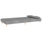 vidaXL Divano Letto a 2 Posti con 2 Cuscini Grigio Chiaro in Tessuto vidaXL Divano Letto a 2 Posti con 2 Cuscini Grigio Chiaro in Tessuto