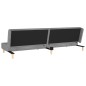 vidaXL Divano Letto a 2 Posti con 2 Cuscini Grigio Chiaro in Tessuto vidaXL Divano Letto a 2 Posti con 2 Cuscini Grigio Chiaro in Tessuto