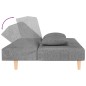 vidaXL Divano Letto a 2 Posti con 2 Cuscini Grigio Chiaro in Tessuto vidaXL Divano Letto a 2 Posti con 2 Cuscini Grigio Chiaro in Tessuto