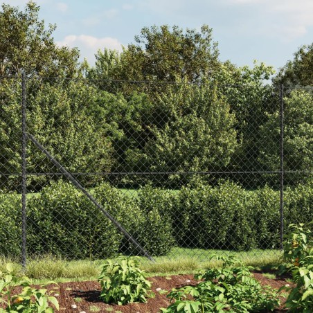 vidaXL Recinzione a Rete con Picchetti Ancoraggio Antracite 2,2x10 m