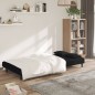 vidaXL Divano Letto a 2 Posti con 2 Cuscini Nero in Velluto vidaXL Divano Letto a 2 Posti con 2 Cuscini Nero in Velluto
