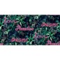 Good Vibes Carta da Parati Neon Letter with Plants Verde e Rosa Good Vibes Carta da Parati Neon Letter with Plants Verde e Rosa