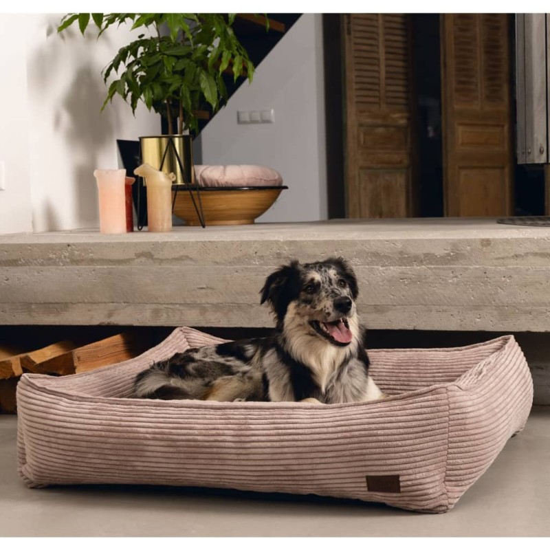 Designed by Lotte Cuccia per Cani a Coste Rosa 65x60x20 cm Designed by Lotte Cuccia per Cani a Coste Rosa 65x60x20 cm