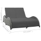 vidaXL Lettino Prendisole Doppio con Cuscino in Polyrattan Antracite vidaXL Lettino Prendisole Doppio con Cuscino in Polyrattan Antracite
