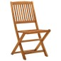 vidaXL Sedie da Giardino Pieghevoli 2pz in Legno Massello di Eucalipto vidaXL Sedie da Giardino Pieghevoli 2pz in Legno Massello di Eucalipto