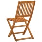vidaXL Sedie da Giardino Pieghevoli 2pz in Legno Massello di Eucalipto vidaXL Sedie da Giardino Pieghevoli 2pz in Legno Massello di Eucalipto