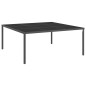vidaXL Tavolo da Pranzo Esterni Antracite 170x170x72cm Acciaio e Vetro vidaXL Tavolo da Pranzo Esterni Antracite 170x170x72cm Acciaio e Vetro