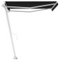 Tenda da Sole Retrattile Manuale 300x250 cm Antracite Tenda da Sole Retrattile Manuale 300x250 cm Antracite