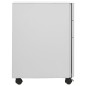 vidaXL Schedario Mobile Grigio Chiaro 30x45x59 cm in Acciaio vidaXL Schedario Mobile Grigio Chiaro 30x45x59 cm in Acciaio