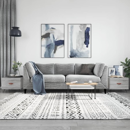 vidaXL Tavolini Salotto 2pz Grigio Sonoma 50x50x40cm Legno Multistrato