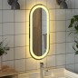 vidaXL Specchio da Bagno LED 60x25 cm Ovale vidaXL Specchio da Bagno LED 60x25 cm Ovale