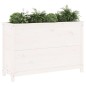 vidaXL Fioriera Rialzata Giardino Bianca 119,5x40x78 cm Massello Pino vidaXL Fioriera Rialzata Giardino Bianca 119,5x40x78 cm Massello Pino