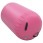 vidaXL Rullo da Ginnastica Gonfiabile con Pompa 100x60 cm in PVC Rosa vidaXL Rullo da Ginnastica Gonfiabile con Pompa 100x60 cm in PVC Rosa