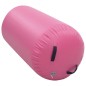 vidaXL Rullo da Ginnastica Gonfiabile con Pompa 120x75 cm in PVC Rosa vidaXL Rullo da Ginnastica Gonfiabile con Pompa 120x75 cm in PVC Rosa