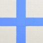 vidaXL Tappetino Ginnastica Gonfiabile con Pompa 700x100x20cm PVC Blu