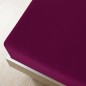 vidaXL Lenzuola con Angoli Jersey 2pz Bordò 160x200 cm Cotone vidaXL Lenzuola con Angoli Jersey 2pz Bordò 160x200 cm Cotone