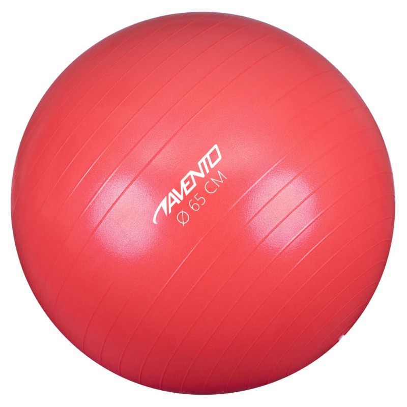 Avento Palla per Fitness/Palestra Diametro 65 cm Rosa Avento Palla per Fitness/Palestra Diametro 65 cm Rosa