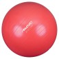 Avento Palla per Fitness/Palestra Diametro 65 cm Rosa Avento Palla per Fitness/Palestra Diametro 65 cm Rosa