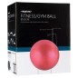 Avento Palla per Fitness/Palestra Diametro 65 cm Rosa Avento Palla per Fitness/Palestra Diametro 65 cm Rosa