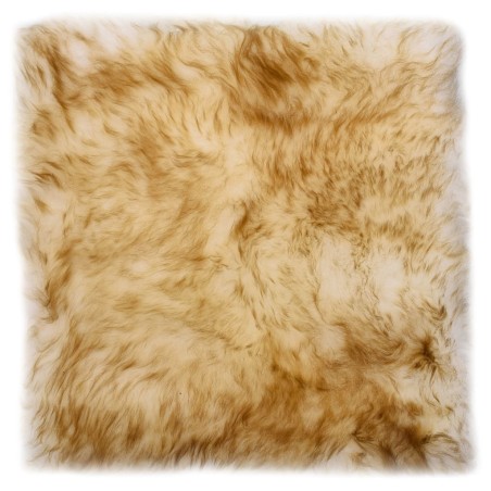 vidaXL Cuscini Sedie 2pz Melange Marrone 40x40cm Vera Pelle di Montone