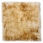 vidaXL Cuscini Sedie 2pz Melange Marrone 40x40cm Vera Pelle di Montone