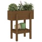vidaXL Fioriera da Giardino Ambra 62x30x69 cm Legno Massello di Pino vidaXL Fioriera da Giardino Ambra 62x30x69 cm Legno Massello di Pino