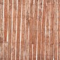 Recinzione in Corteccia 1000x50 cm Recinzione in Corteccia 1000x50 cm