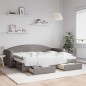 vidaXL Divano Letto Estraibile con Cassetti Tortora 80x200 cm Tessuto vidaXL Divano Letto Estraibile con Cassetti Tortora 80x200 cm Tessuto
