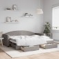 vidaXL Divano Letto Estraibile con Cassetti Tortora 90x200 cm Tessuto vidaXL Divano Letto Estraibile con Cassetti Tortora 90x200 cm Tessuto