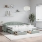 vidaXL Divano Letto Estraibile Cassetti Grigio Chiaro 90x200cm Velluto vidaXL Divano Letto Estraibile Cassetti Grigio Chiaro 90x200cm Velluto