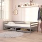 vidaXL Cassetti per Divano Letto 2 pz Grigi in Legno Massello di Pino vidaXL Cassetti per Divano Letto 2 pz Grigi in Legno Massello di Pino